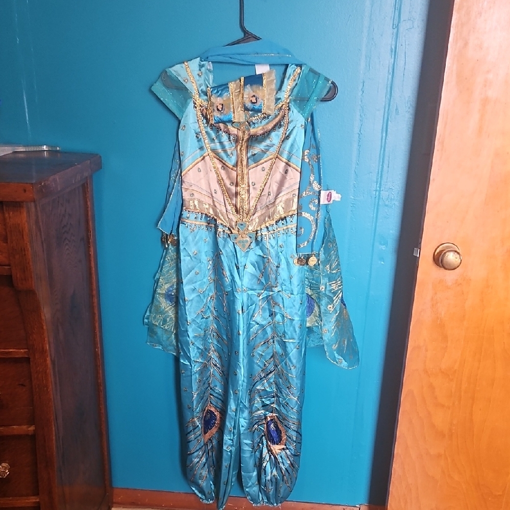 Disney Girls Teal and Gold Peacock Princess Costume